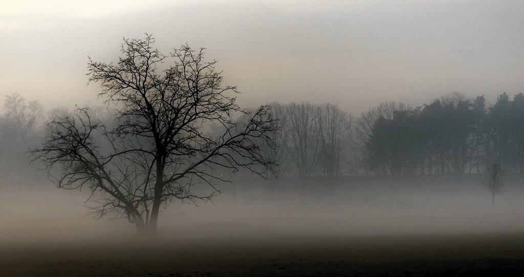 Il respiro della Terra...grazie Chiara!