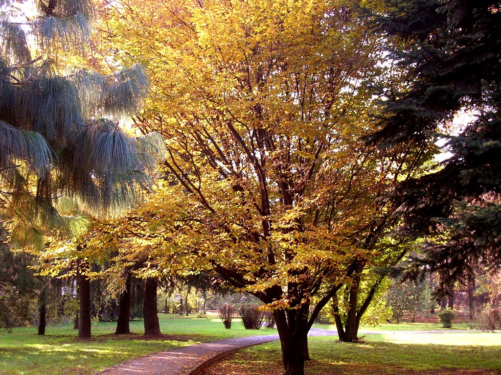 Monza