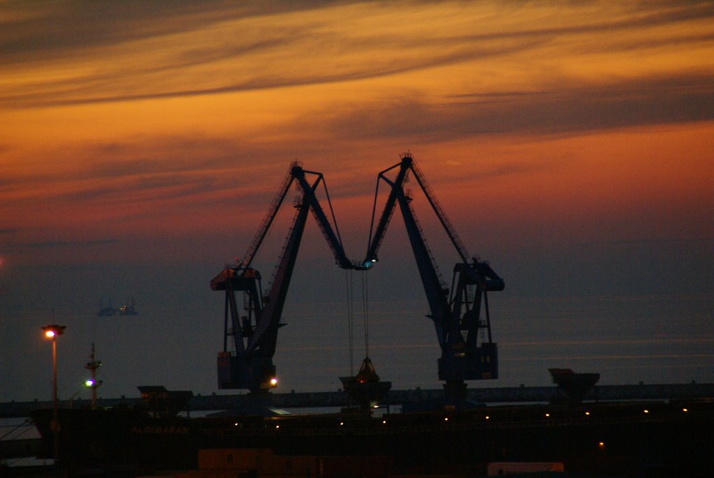 Ancona