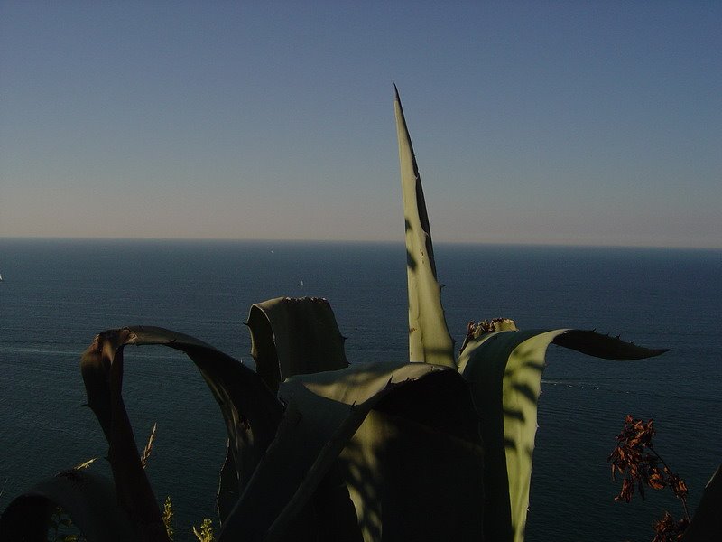 Mar Adriatico - Ancona