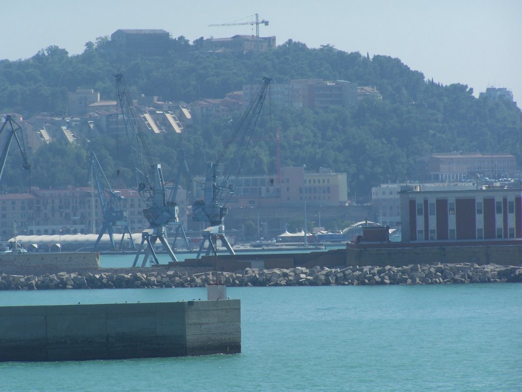 ANCONA --http://profiles.pathfinder.gr/GKARD69