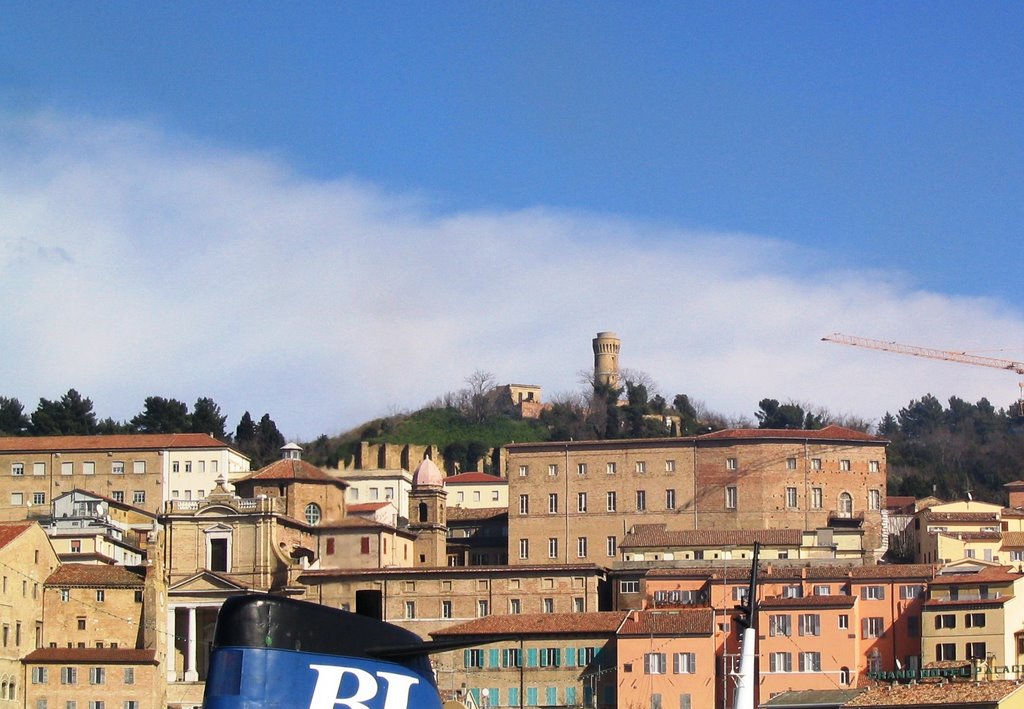 Ancona