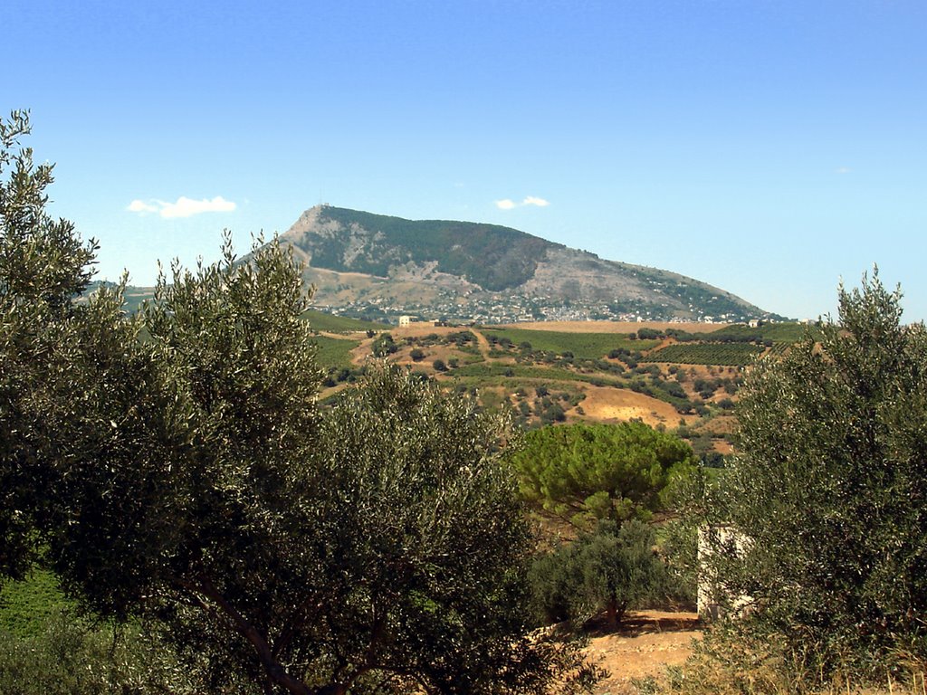 ALCAMO Monte Bonifato