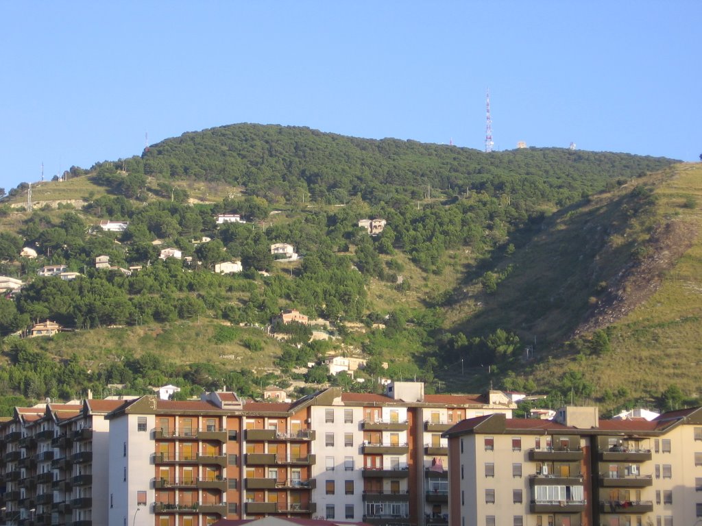 il bonifato