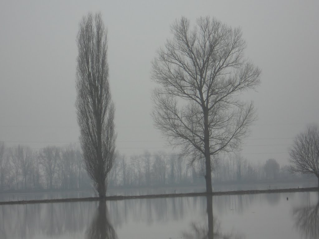esondazione del tevere san giustino