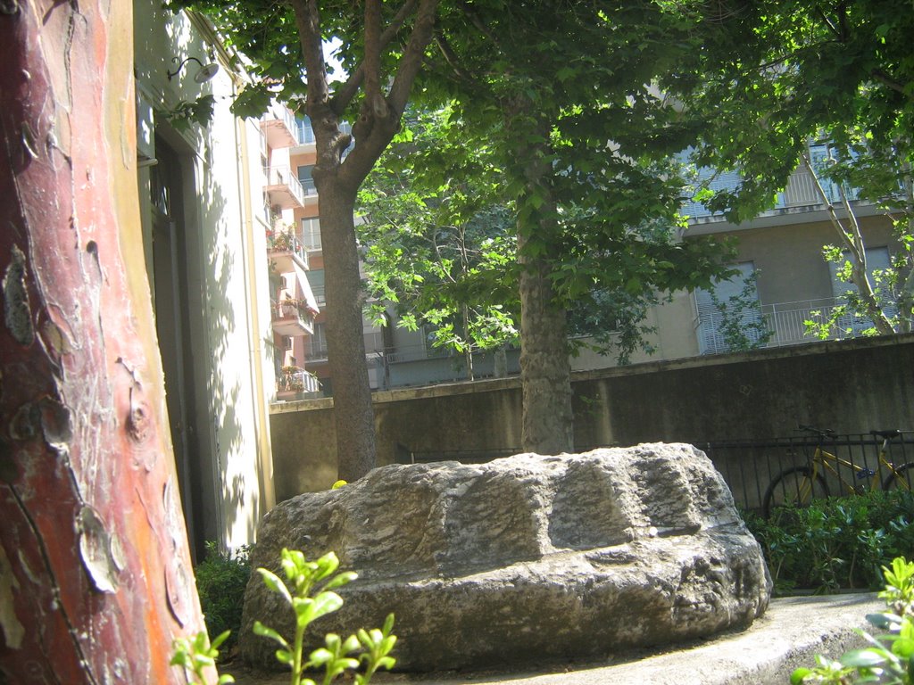 Ingresso alla facoltà di Scienze Naturali - Via Androne