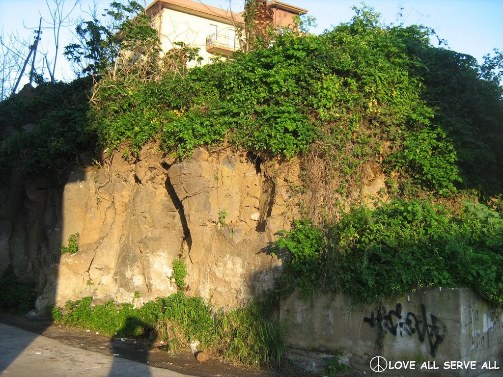 Banchi lavici di via Ala - LOVE ALL SERVE ALL