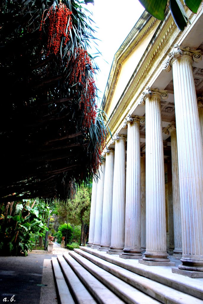 Lorto botanico di catania