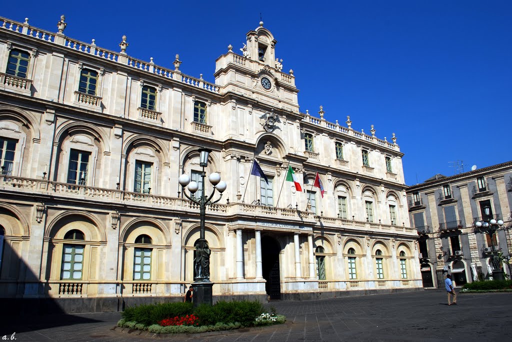catania - palazzo delluniversità