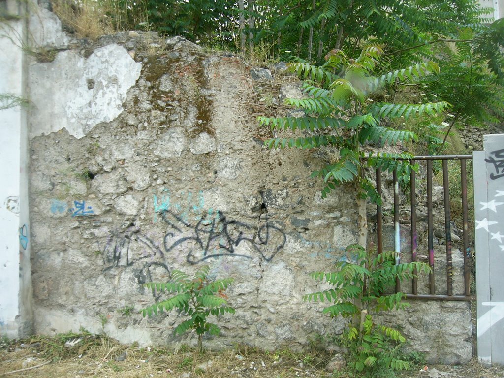 Torre Aragonese ( XIV secolo ) allinterno dellex Sanatorio della Purità