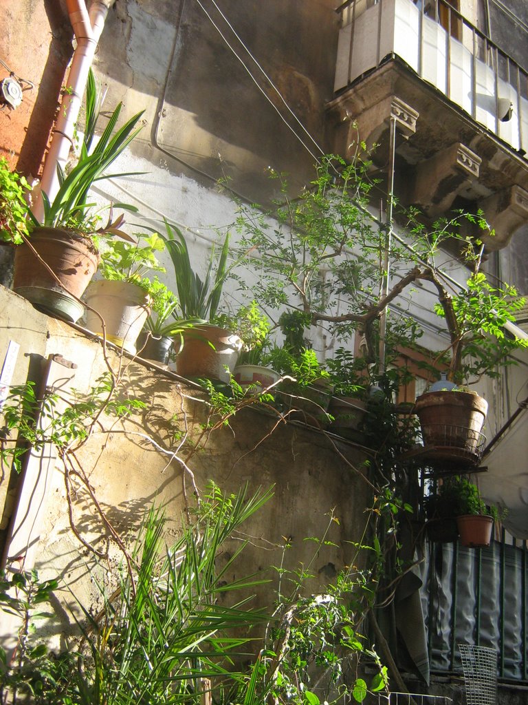 Cortile Siciliano