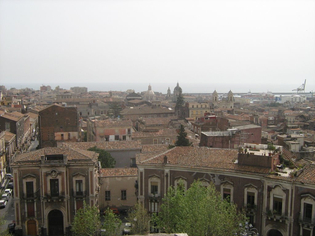 Dante square ( up view )