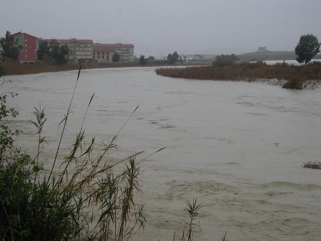 fiume Salso in piena