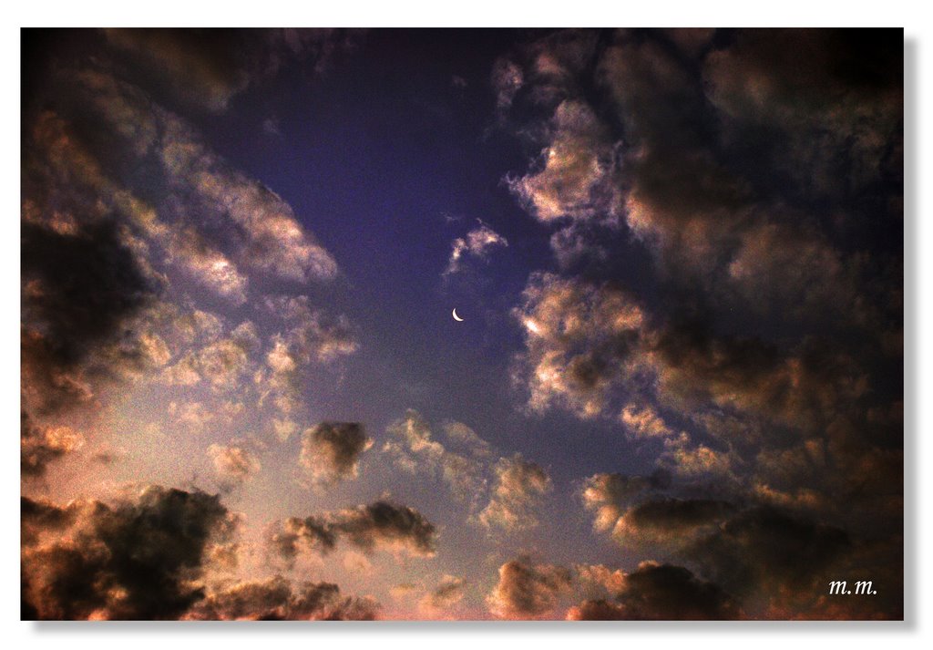 Che fai tu, luna, in ciel? dimmi, che fai, silenziosa luna?