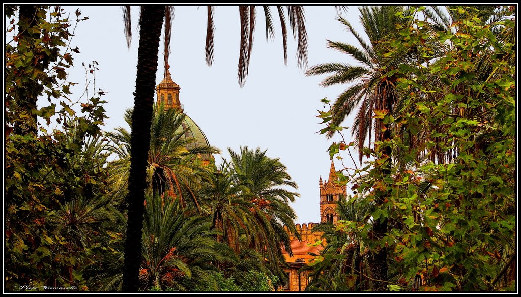 Palermo - Villa Bonanno