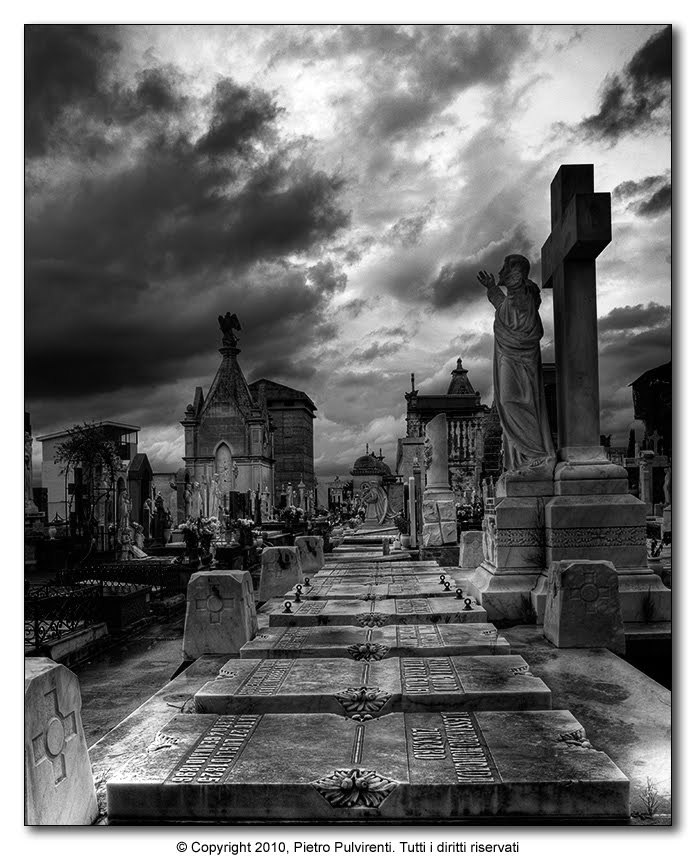 Silenzio, parla il dolore...