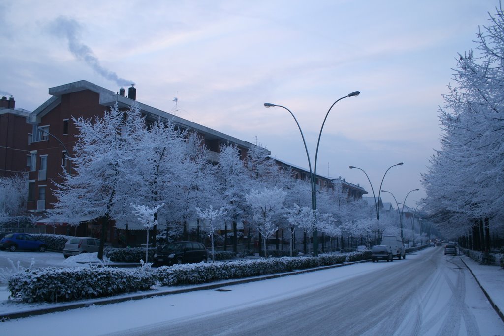 galaverna in via Petrarca