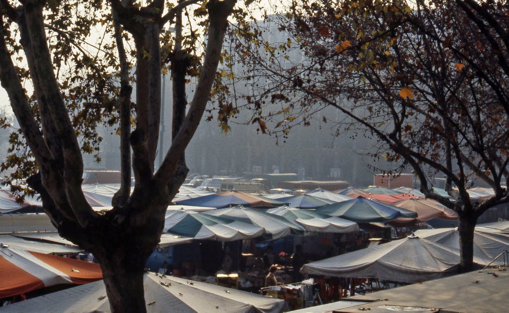 Il mercato di Piazza Alfieri