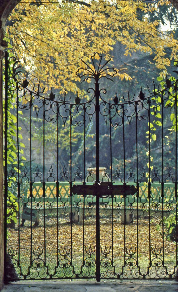 Il giardino di Palazzo Gazzelli
