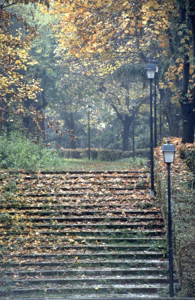 Via Antiche Mura