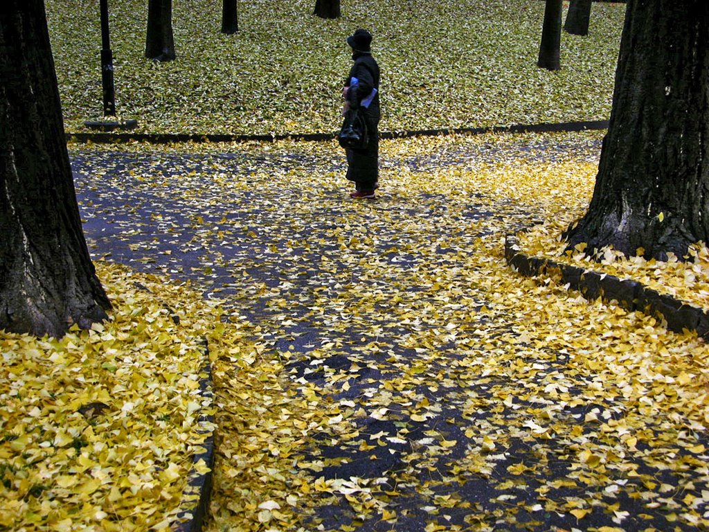 Ginkgo Biloba