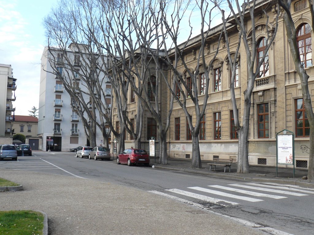 Scuole elementari