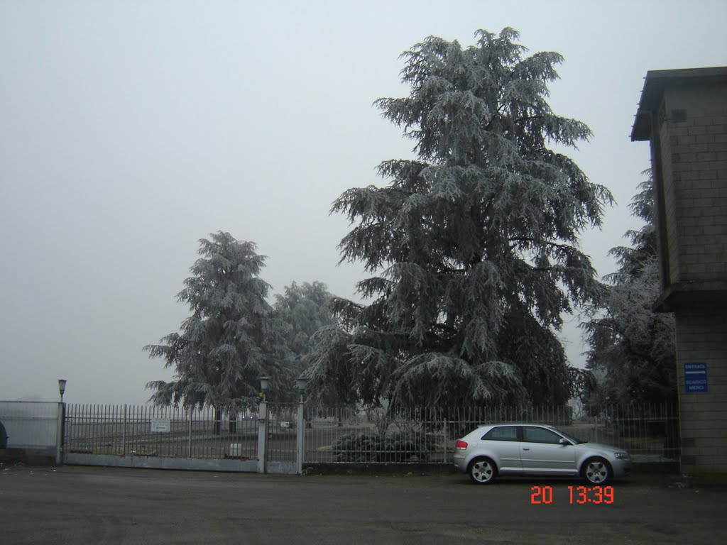 Galaverna Vicino Vercelli