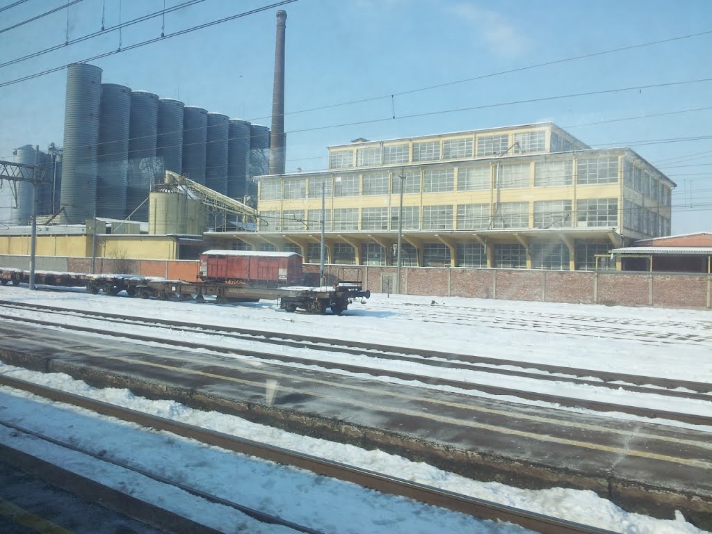 Vercelli 02/2012