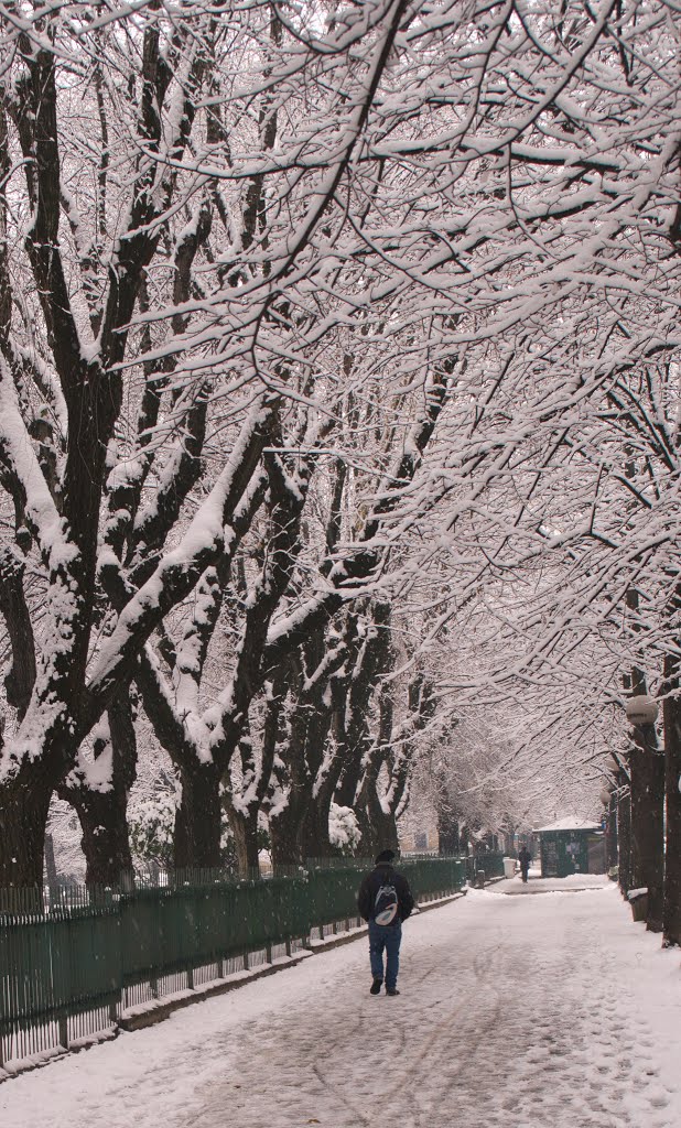 Walking In The Snow