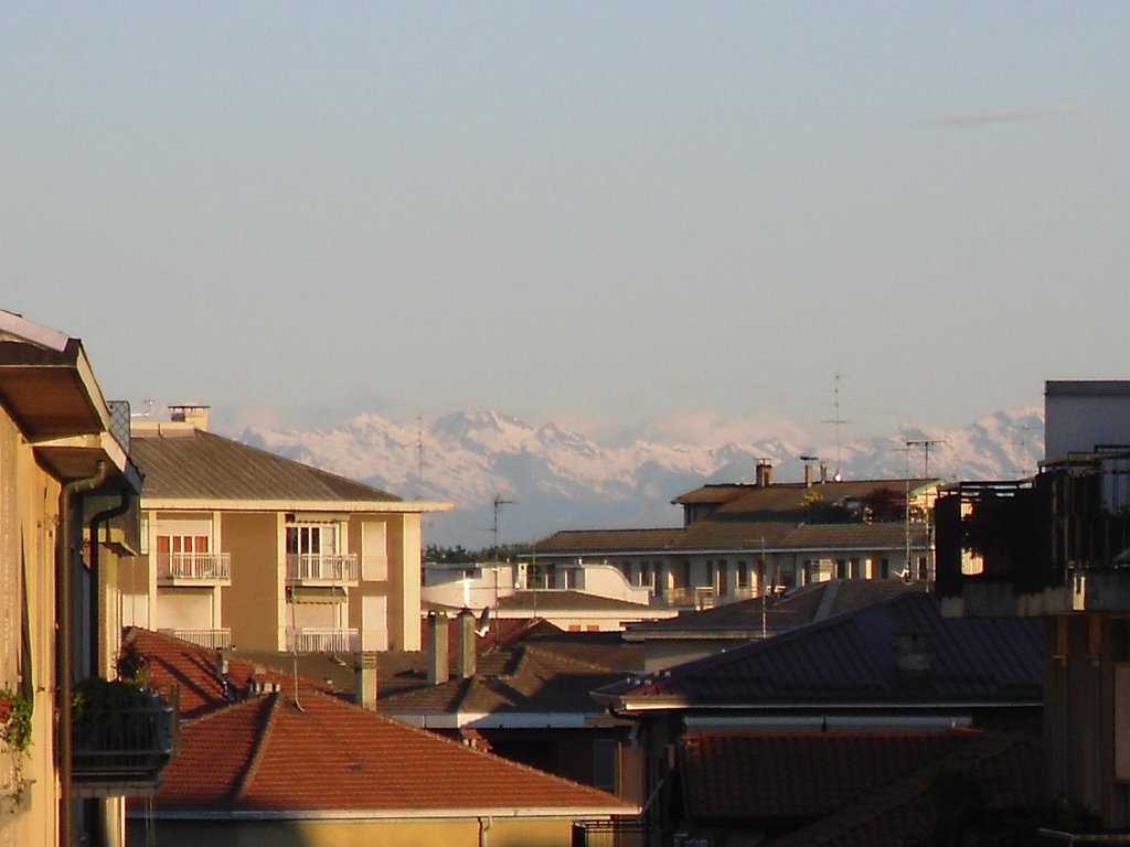 Alpi