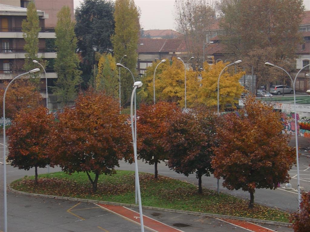 colori dautunno