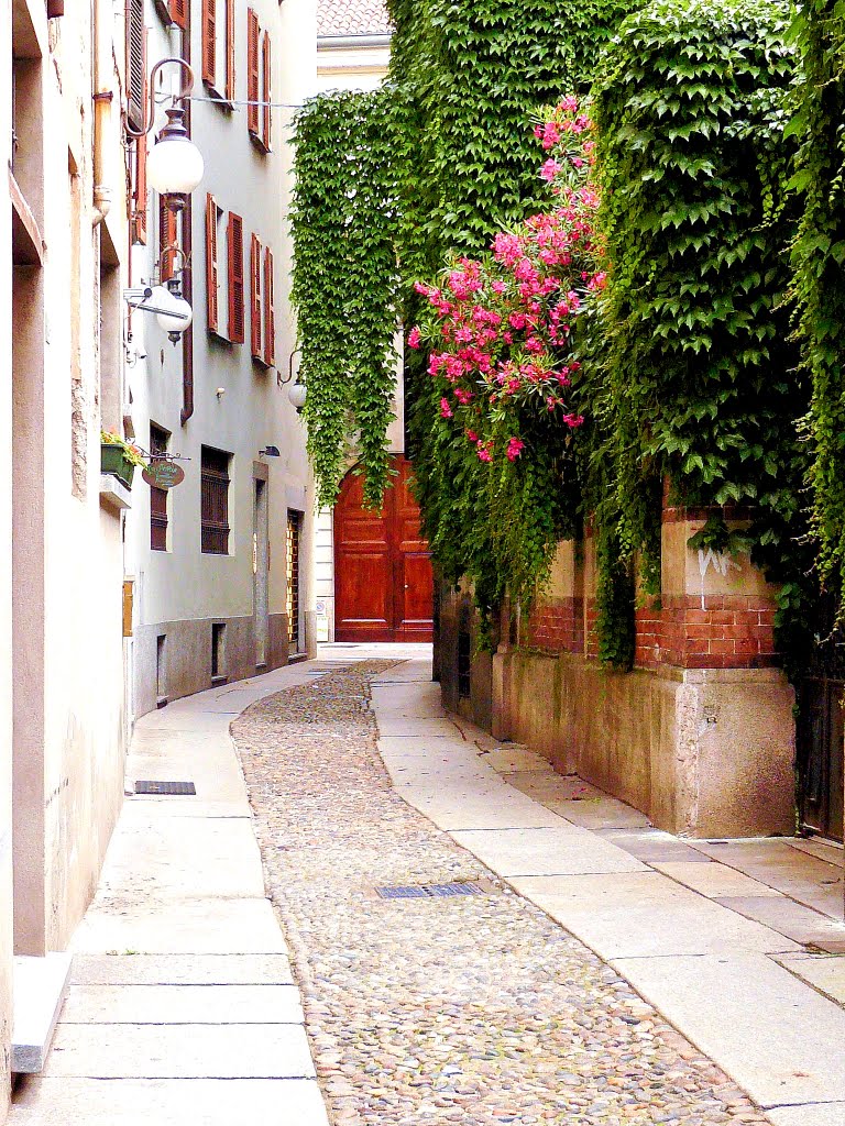 Novara - Vicolo dellArco 06