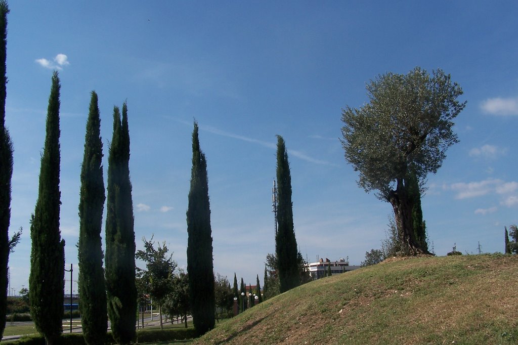 cimitero ebraico