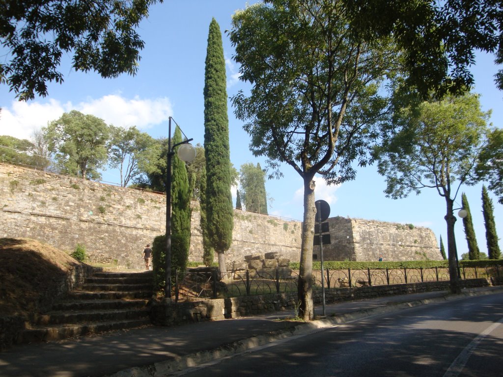 Fortezza medicea