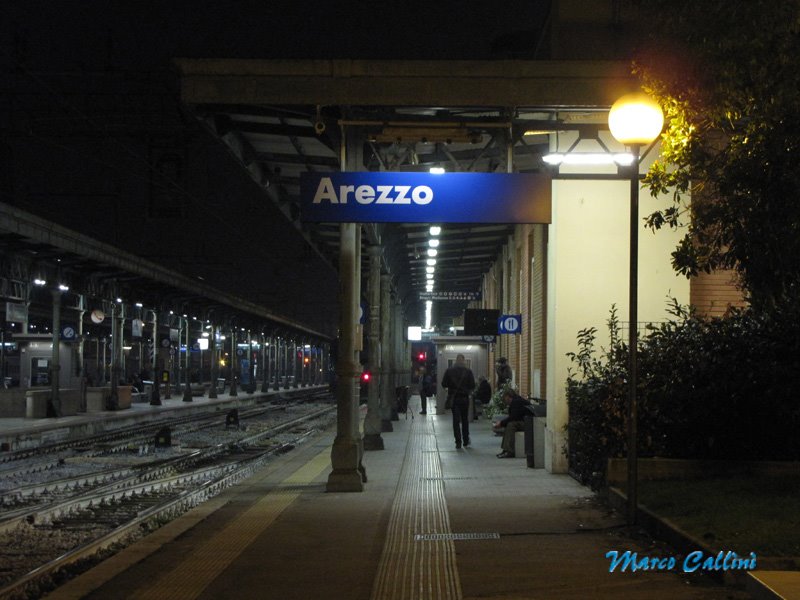 Stazione di Arezzo (lato binari) MC2009