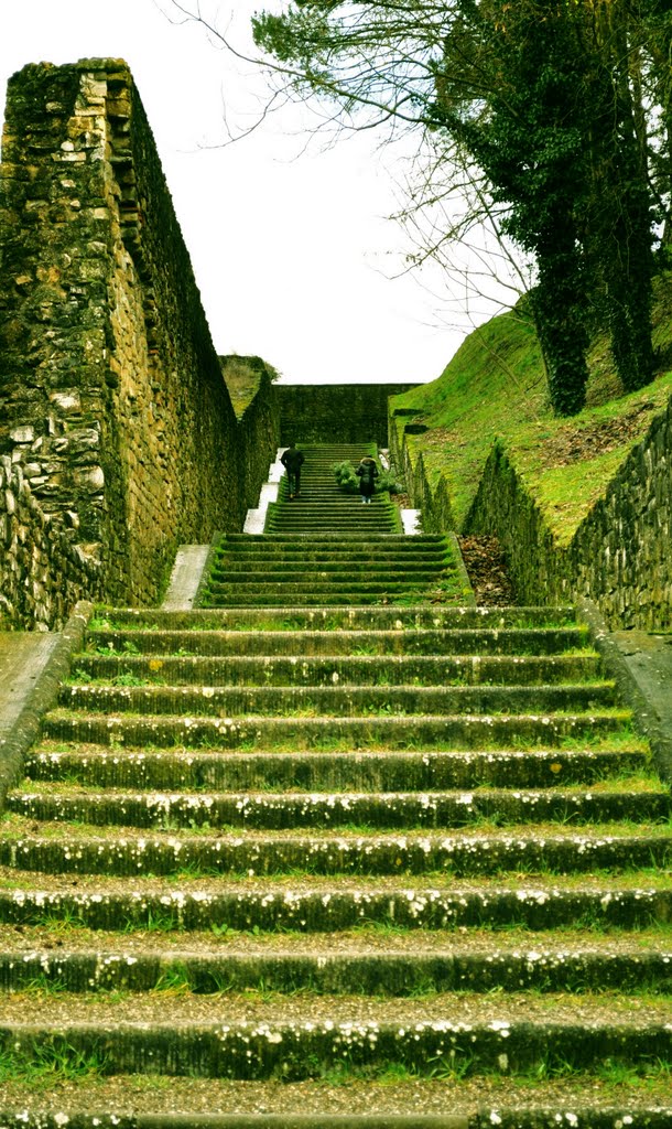 AREZZO