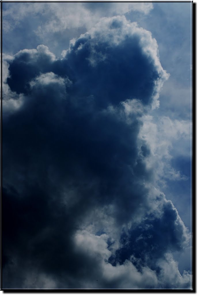 Unbelievable behavior of the clouds...LADY OR MUSKETEER?  What else? Up to you !
