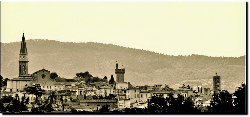 Arezzo Panorama
