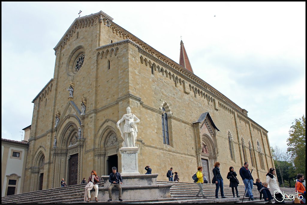 Il Duomo di Arezzo - per Patrizia, "Lillivaga"