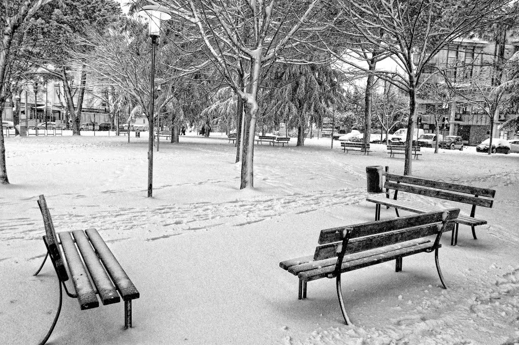 Giardini dinverno