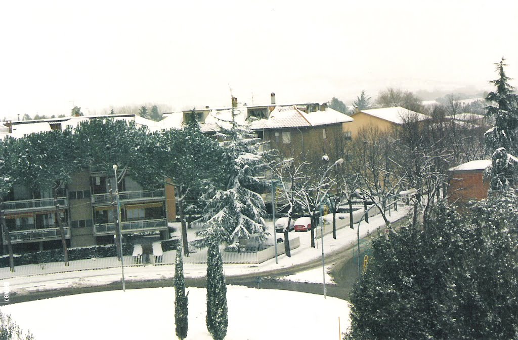 Neve in piazza