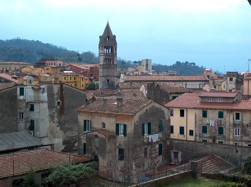 Carrara del bianco marmo ....