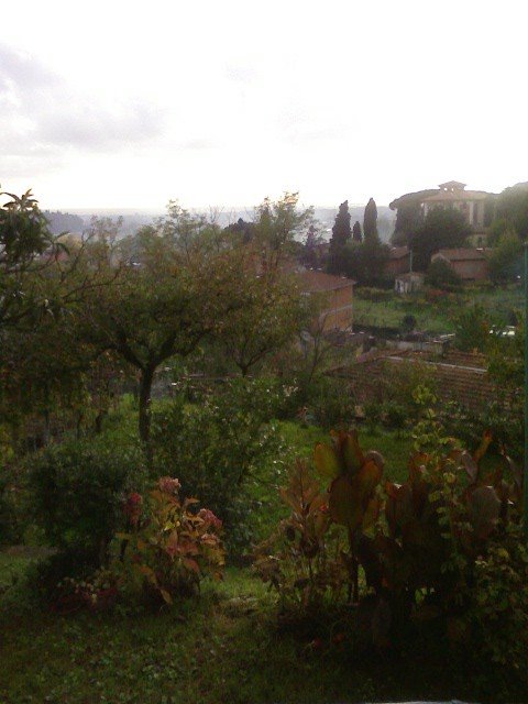 Dalla finestra