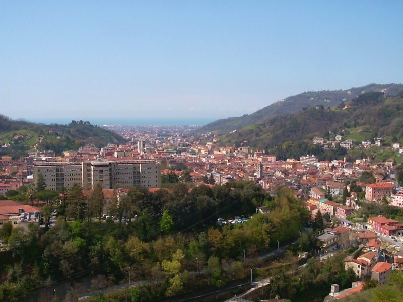 carrara dallalto