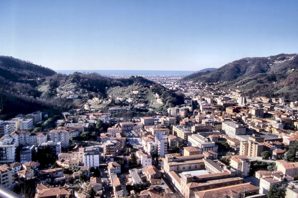 CARRARA