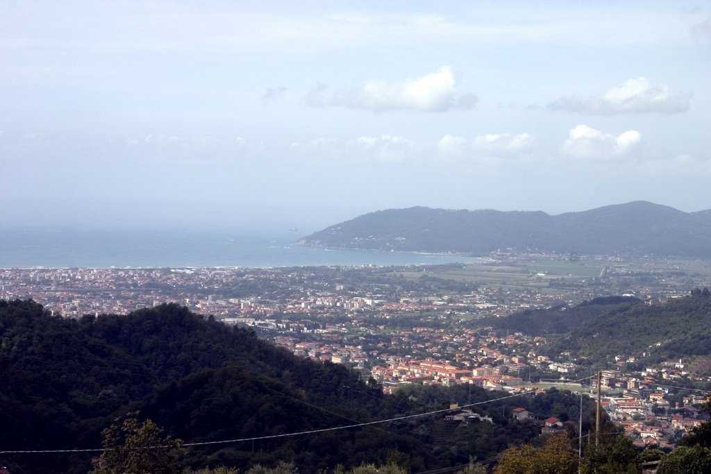 Carrara