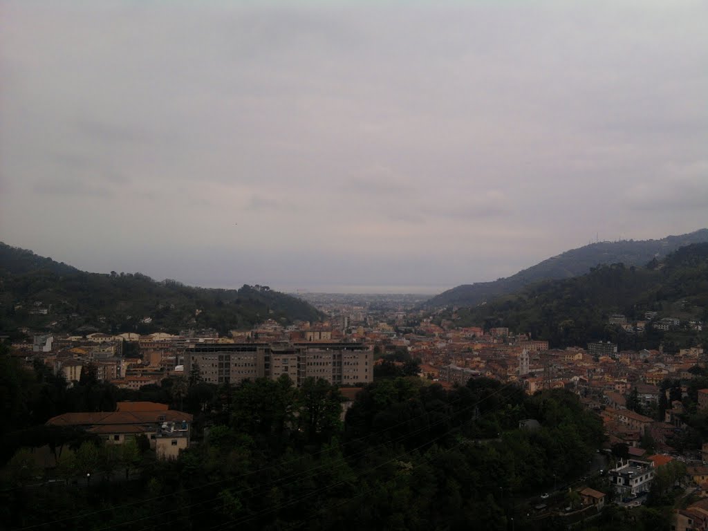 CARRARA