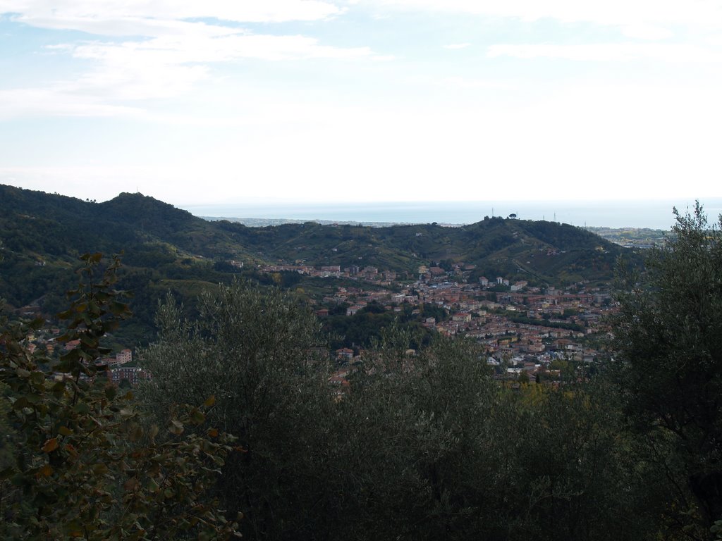 Bonascola