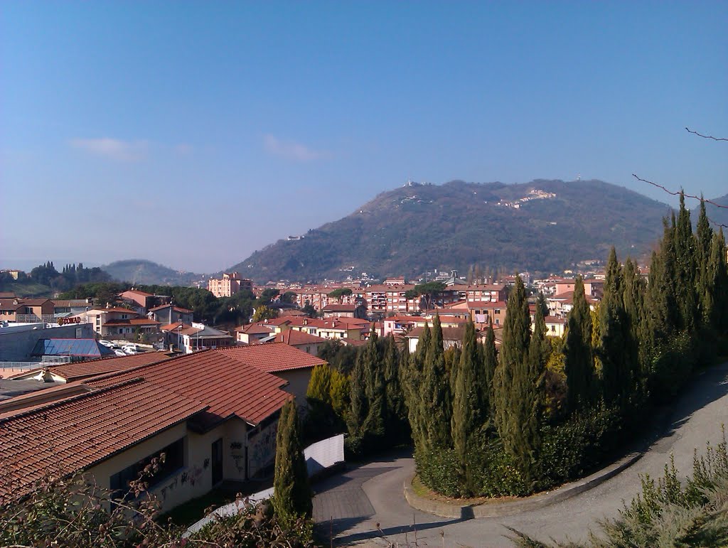 Carrara