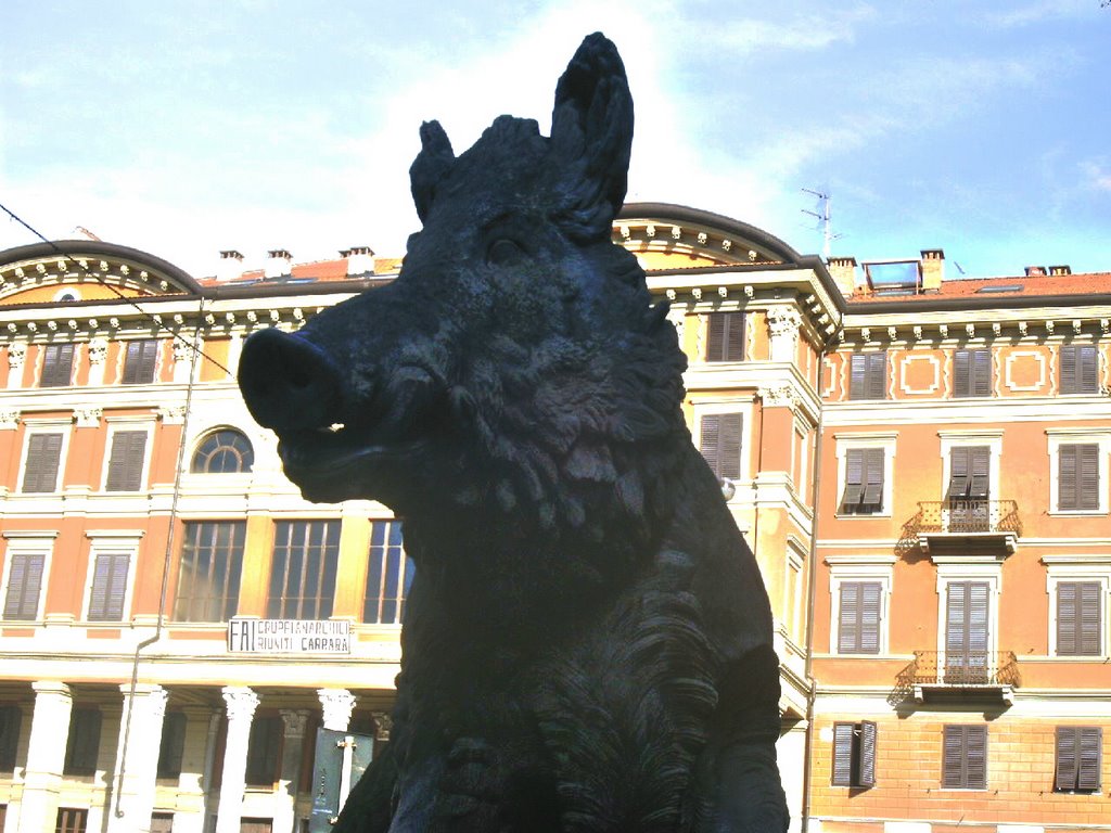 Carrara, Piazza Farini, "il Cinghiale"